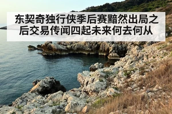 东契奇独行侠季后赛黯然出局之后交易传闻四起未来何去何从