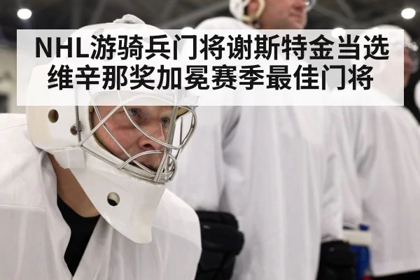 hockey goalie mask